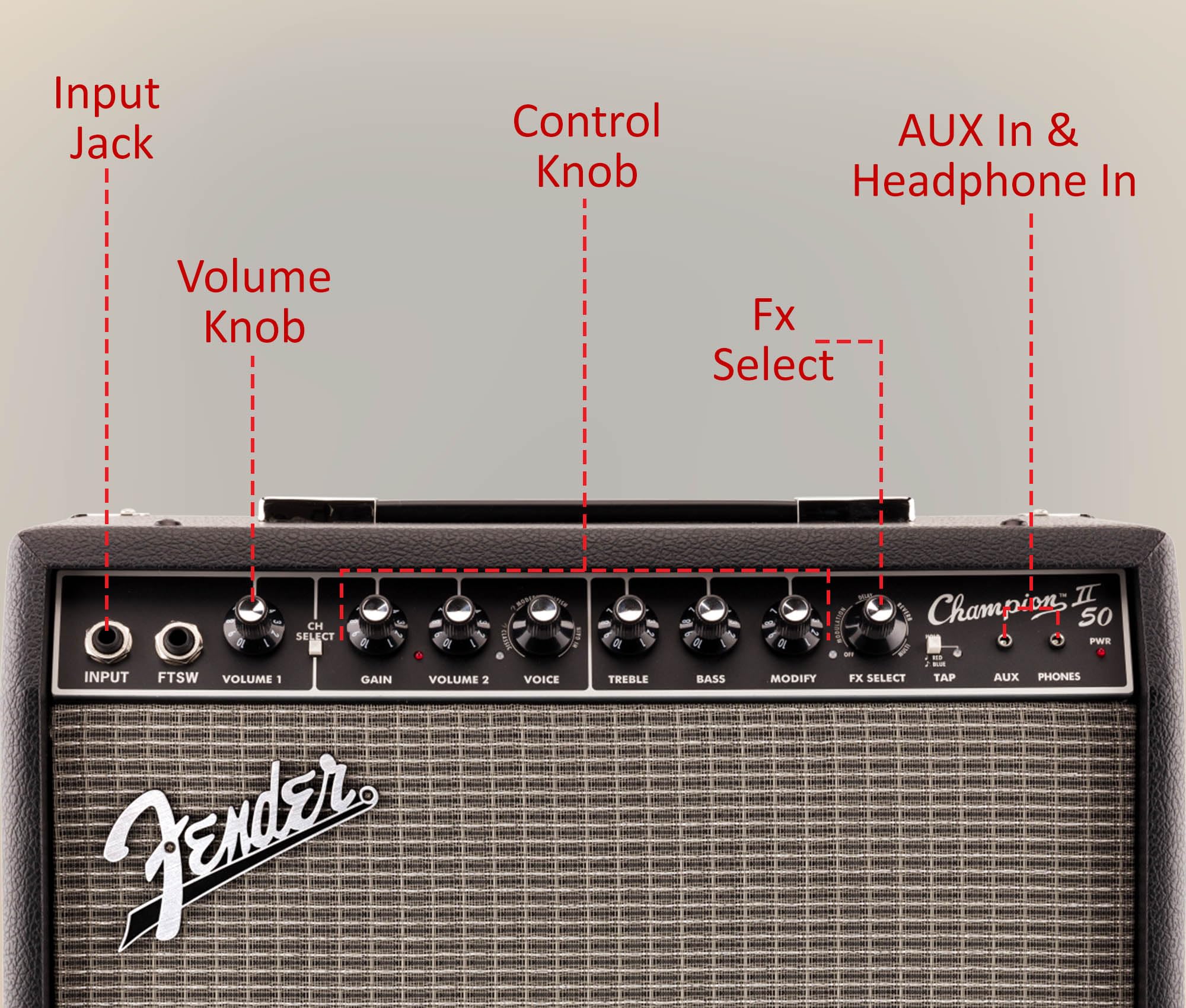 Amazon.co.jp: Fender Champion II 50ワット ギター コンボ アンプ